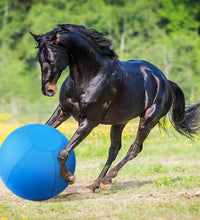Herding Ball for Dogs and Horses - 18