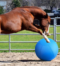 Herding Ball for Dogs and Horses - 18