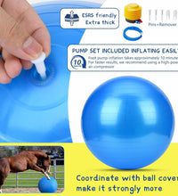 Herding Ball for Dogs and Horses - 18