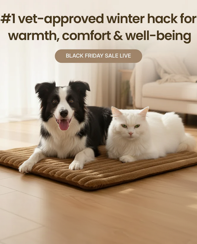 Self-heating pet mat