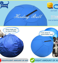 Herding Ball for Dogs and Horses - 18