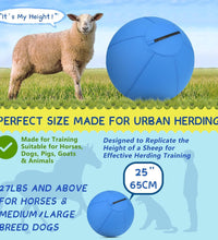 Herding Ball for Dogs and Horses - 18